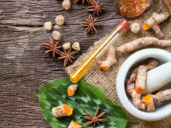 वसंत के लिए आयुर्वेदिक जीवन