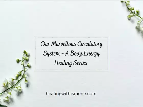 Nuestro Maravilloso Sistema Circulatorio - Una Serie de Sanación Energética Corporal