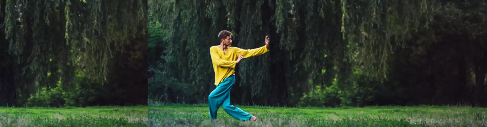 Ευγενικό Qigong - Online Class by Cassaundra Paolini