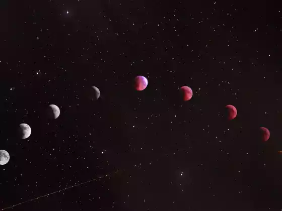 日食占星術