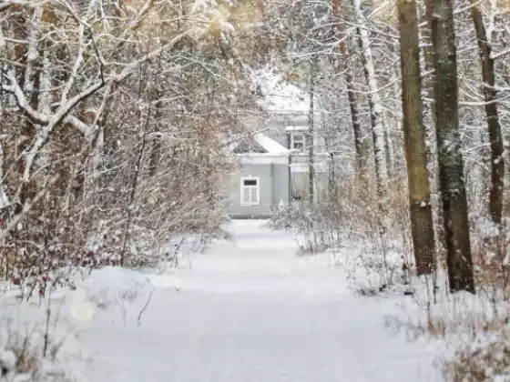 Winter Solstice Energy Healing Ceremony
