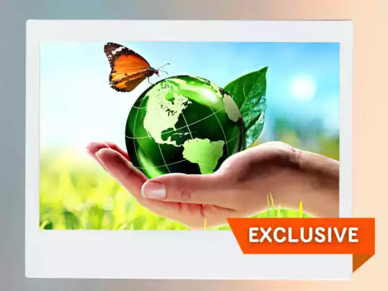 Cara Membangunkan Amalan Kehidupan Mesra Alam untuk Peningkatan Diri Transformasi