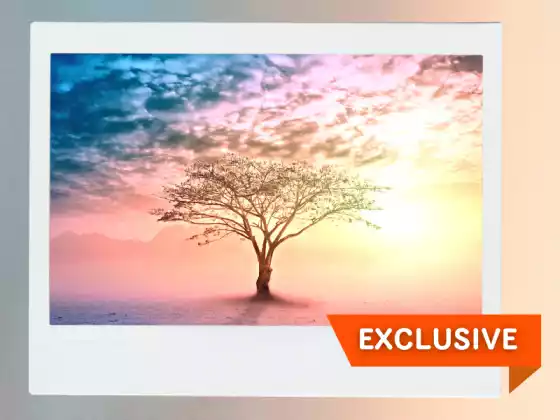 কুন্ডলিনী জাগরণ, নিরাময় এবং শক্তিপাত