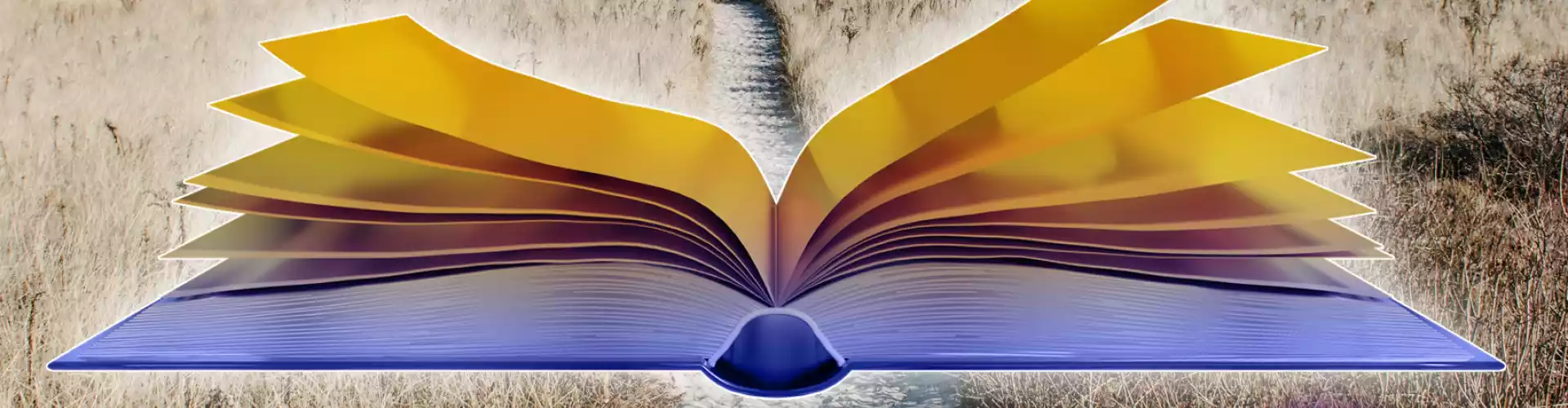 How To Start Your Journey into The Akashic Records Live Q & A Session/ Check Additional Info - Online Class by Anika Ray