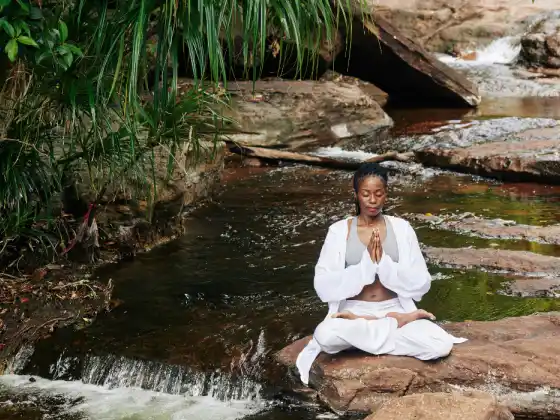 Gassho Gateway: Meditasi yang Berpusat pada Hati untuk Praktisi Reiki