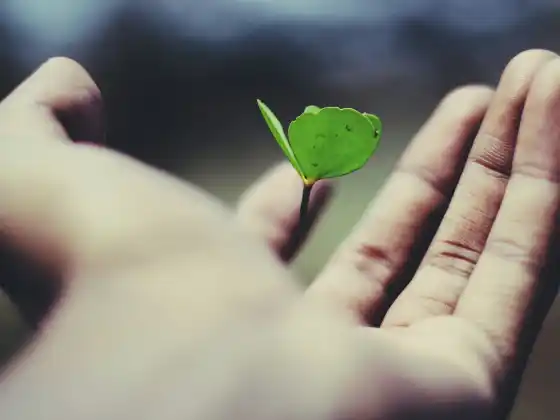 职业校准以实现与灵魂一致的成功问答网络研讨会 3