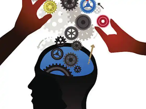 Tanítsd át a Brain sorozatot