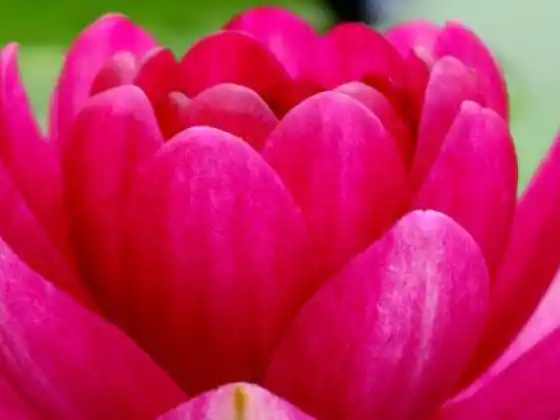جسم اور روح کے لئے موسم بہار کی صفائی: پاکیزگی سے آگے