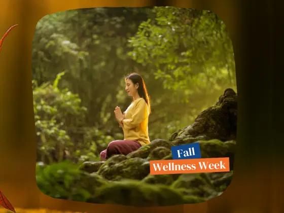 Pelukan Musim Luruh: Meditasi Reiki Ekuinoks Musim Gugur