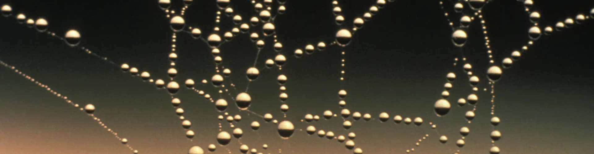 Cerimonia dell'equinozio d'autunno - Connettiti alla tua comunità - Online Class by Raven  Many Voices